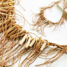 κολιέ ΜΗΔΕΙΑ